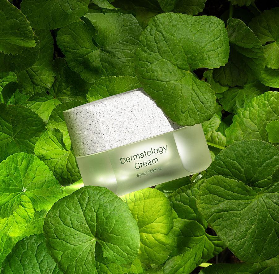 Dermatology Cream